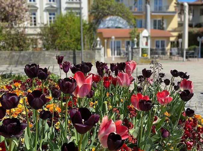 Seehotel Schaepfle 3*