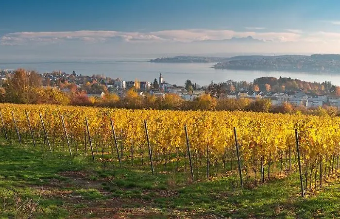 Seehotel Schaepfle 3*